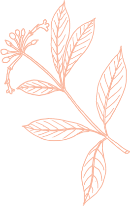 オレンジ背景装飾