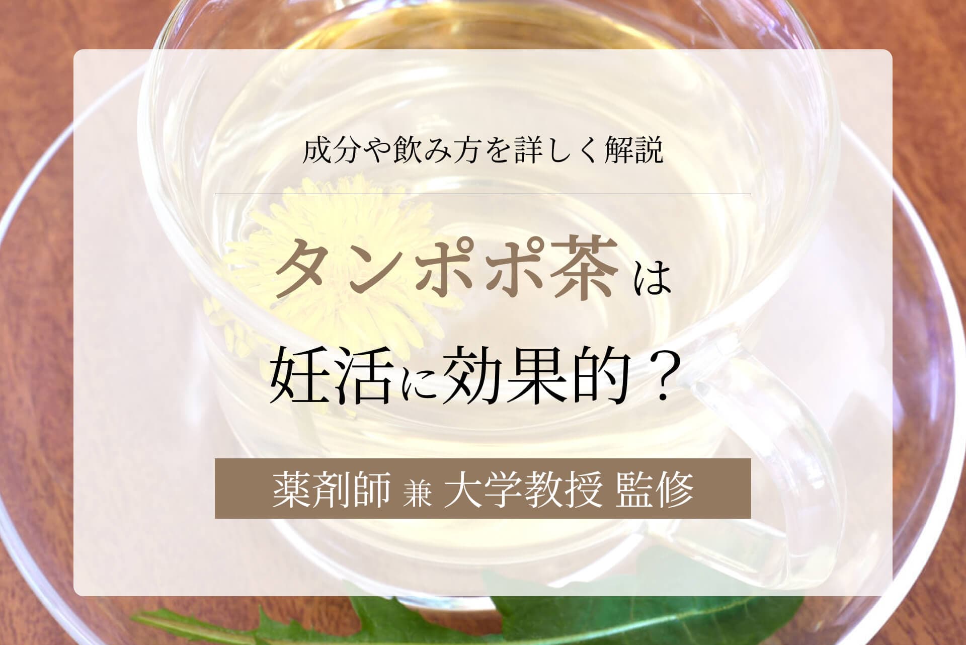 タンポポ茶は妊活に効果的?成分や飲み方を詳しく解説