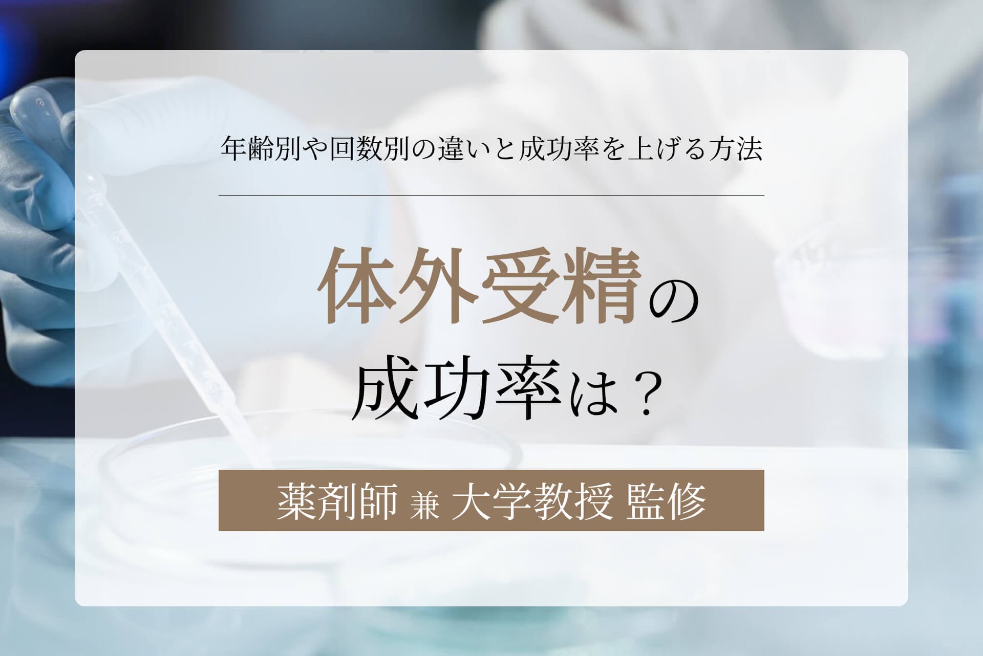 体外受精の成功率は?年齢別や回数別の違いと成功率を上げる方法