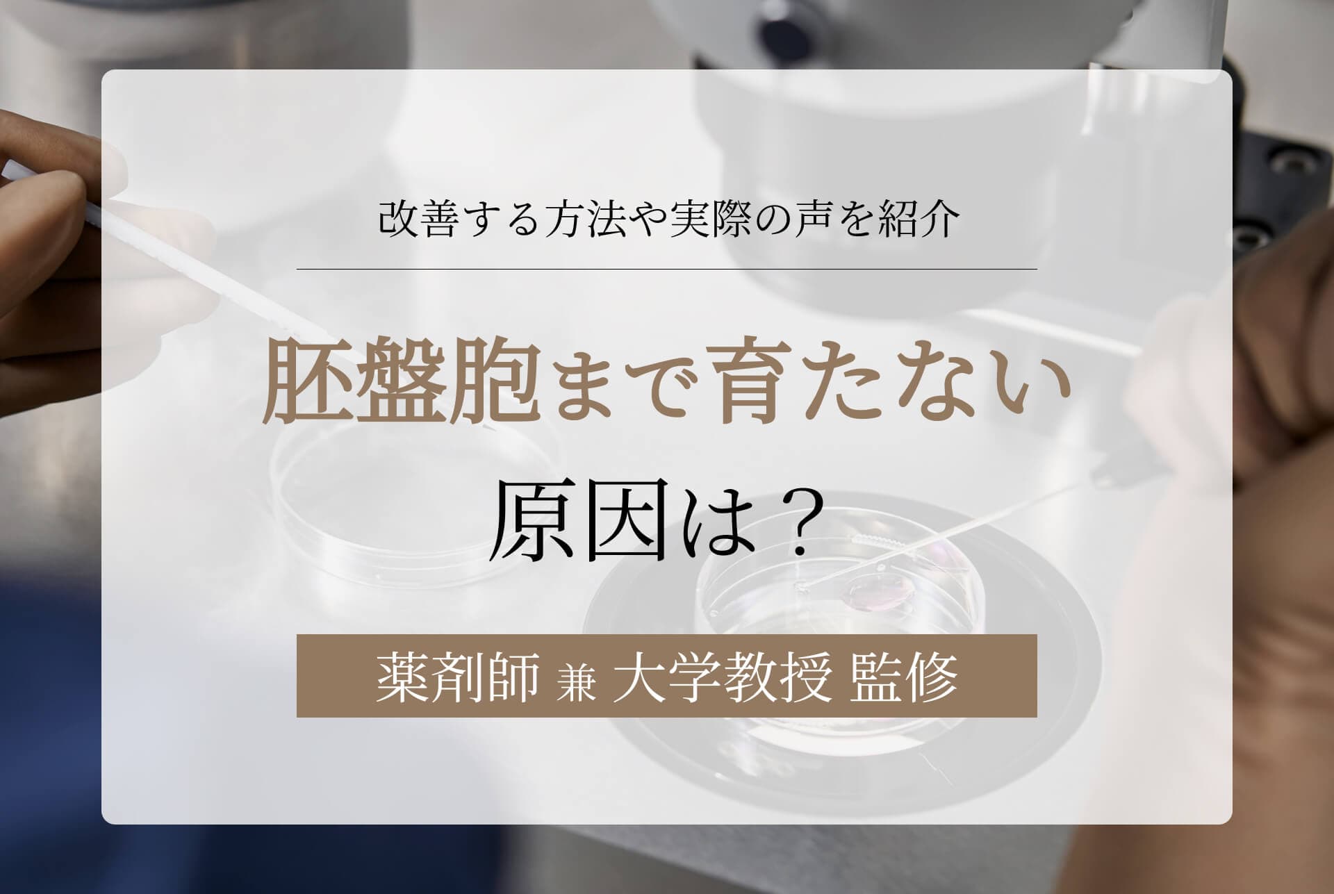 胚盤胞まで育たない原因は?改善する方法や実際の声を紹介